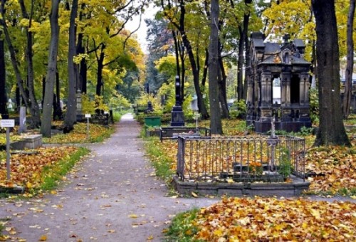 Столичные кладбища могут стать площадкой для культурных мероприятий