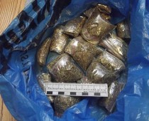 У украинцев-нелегалов в Москве изъято более 10 кг марихуаны