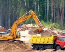 ОНФ: В Подмосковье уничтожено 140 га леса из-за добычи песка
