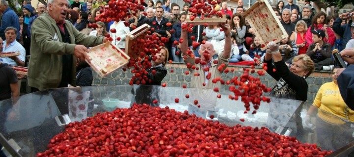 Почти 500 тонн ягод употребили москвичи на фестивале клубники