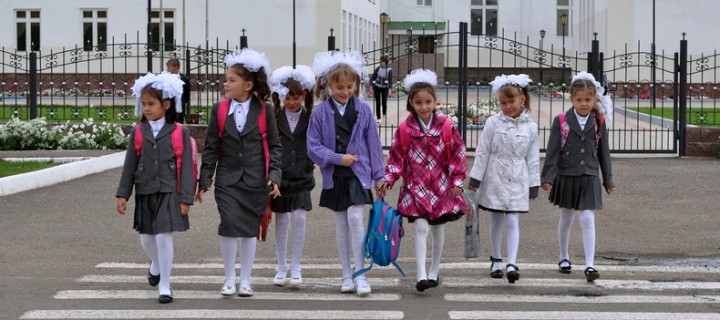 ОНФ проверил безопасность дорожного движения у школ Москвы