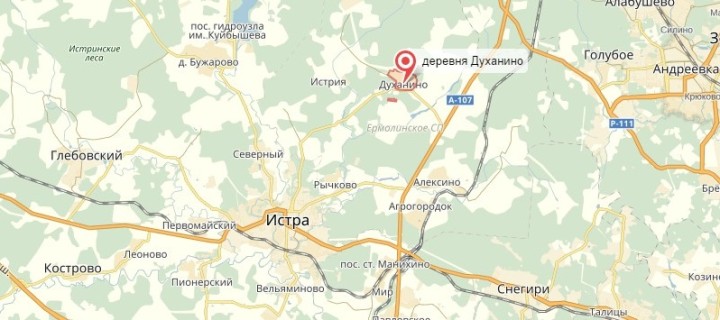 Подмосковный ОНФ разобрался с незаконной свалкой в Истринском районе