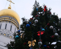 Новогоднюю ель для Соборной площади Кремля выбрали в Подмосковье