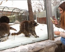 День студента впервые пройдет в Московском зоопарке