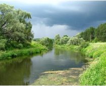 Полсотни малых рек Подмосковья обследуют экологи в 2017 году
