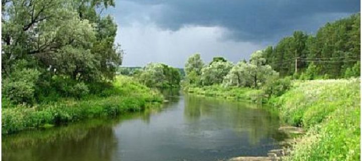 Полсотни малых рек Подмосковья обследуют экологи в 2017 году
