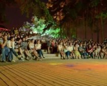 «Ночь кино» пройдет более чем на 50 киноплощадках Воронежской области