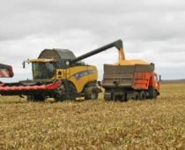 Воронежские аграрии намолотили три миллиона тонн зерна