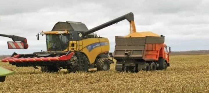 Воронежские аграрии намолотили три миллиона тонн зерна