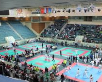 Более 700 человек приняли участие во Всероссийских соревнованиях по каратэ в Одинцово