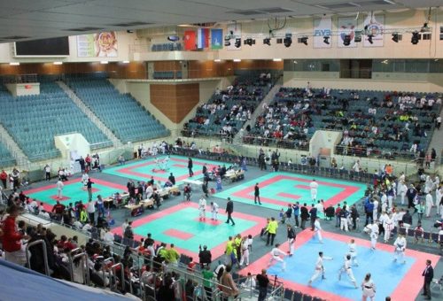 Более 700 человек приняли участие во Всероссийских соревнованиях по каратэ в Одинцово