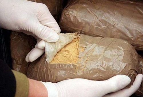 Более 1300 кг наркотиков изъято в 2017 году в Подмосковье
