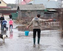 Более 40 населенных пунктов Воронежской области могут пострадать от паводка