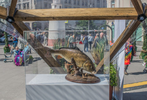 В Москве стартует фестиваль “Рыбная неделя”