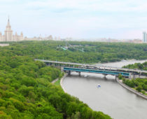 Москва заняла второе место среди самых “зеленых” мегаполисов мира