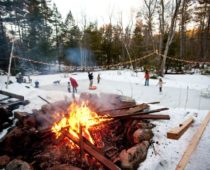 В лесах Подмосковья откроют девять площадок для зимнего отдыха