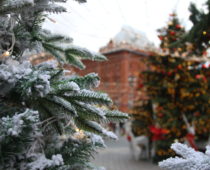 На Рождество в Москве похолодает до минус 20 градусов