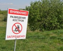 Запрет на разведение костров введут на майские праздники в Подмосковье