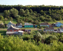 Тамбовская область получила почти 3 млрд руб из бюджета на развитие села