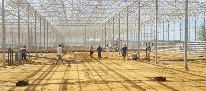 Более 6 млрд рублей инвестируют в строительство тепличного комплекса в Кашире