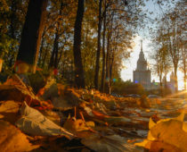 Гидрометцентр пообещал москвичам теплые выходные