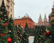 Лес из 130 новогодних елей установят на Манежной площади в центре Москвы