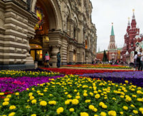 Более 52 млн цветов украсят Москву в 2020 году