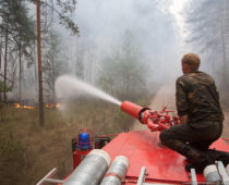 Более 110 га леса за день сгорело в Воронежской области