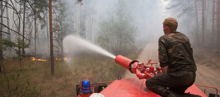 Более 110 га леса за день сгорело в Воронежской области