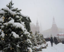 Более 10 см снега выпадет в Москве за сутки
