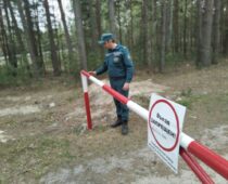 Ограничение на посещение лесов введено в Липецкой области