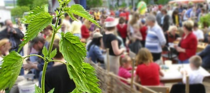 Фестиваль крапивы пройдет в Тульской области