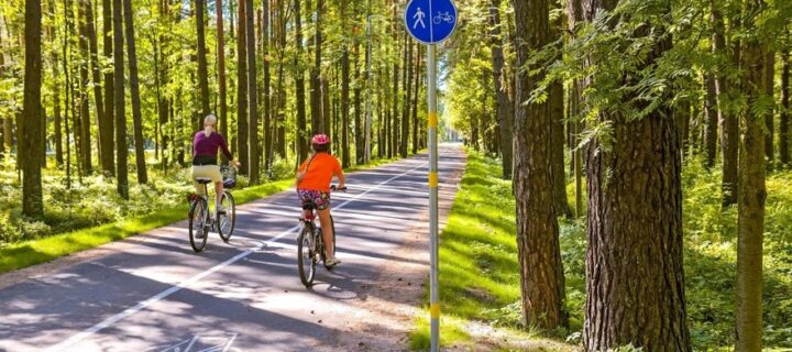 В Тверской области начнут строить участок велодороги «Москва — Санкт-Петербург»