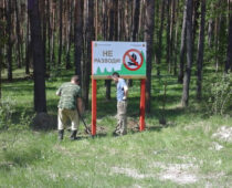 Дополнительные средства на защиту лесов получит Костромская область