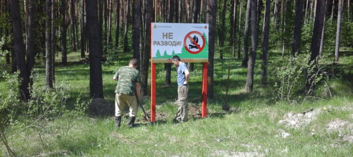 Дополнительные средства на защиту лесов получит Костромская область