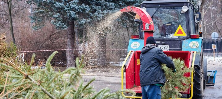 В Москве со 2 января заработает 580 пунктов приема новогодних ёлок