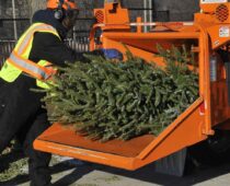 Москвичи сдали на утилизацию более 20 тысяч новогодних деревьев