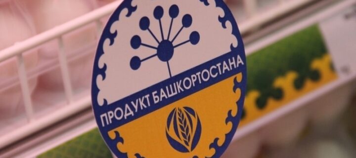 В Башкирии создадут механизмы поддержки предприятий в условиях санкций