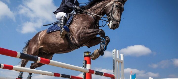 В подмосковном MAXIMA PARK пройдет финал Кубка Евразии среди конников-любителей