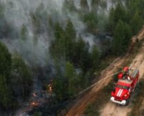 В Рязанской области за сутки более чем на 550 га выросла площадь лесных пожаров