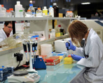 Российские ученые разрабатывают лекарство от опасной болезни мышц