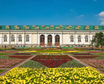 Москву весной и летом украсят более 56 млн цветов