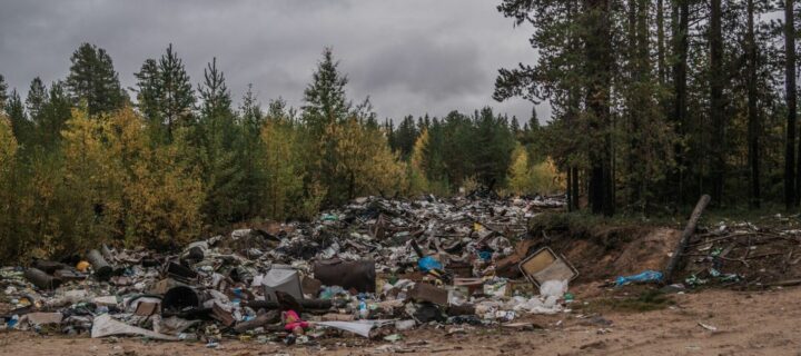 В Московской и Тульской областях в 2022 году ликвидировали почти 60 стихийных свалок
