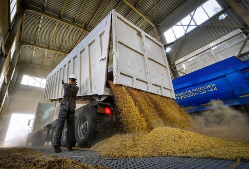 РФ с начала сельхозсезона экспортировала в Китай рекордный объем ячменя и пшеницы