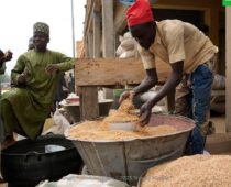 Минсельхоз анонсировал начало безвозмездных поставок зерна в Африку в ближайшее время