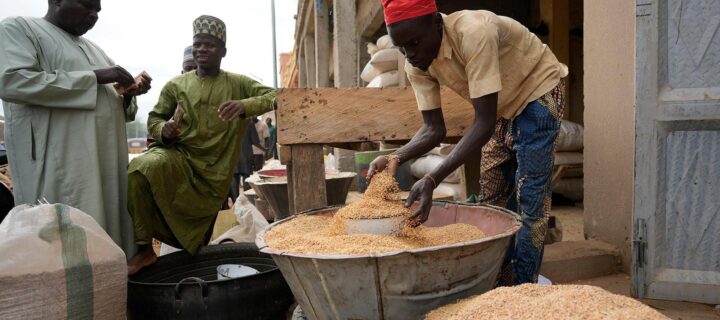 Минсельхоз анонсировал начало безвозмездных поставок зерна в Африку в ближайшее время