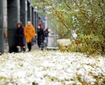В Московском регионе выпал первый снег